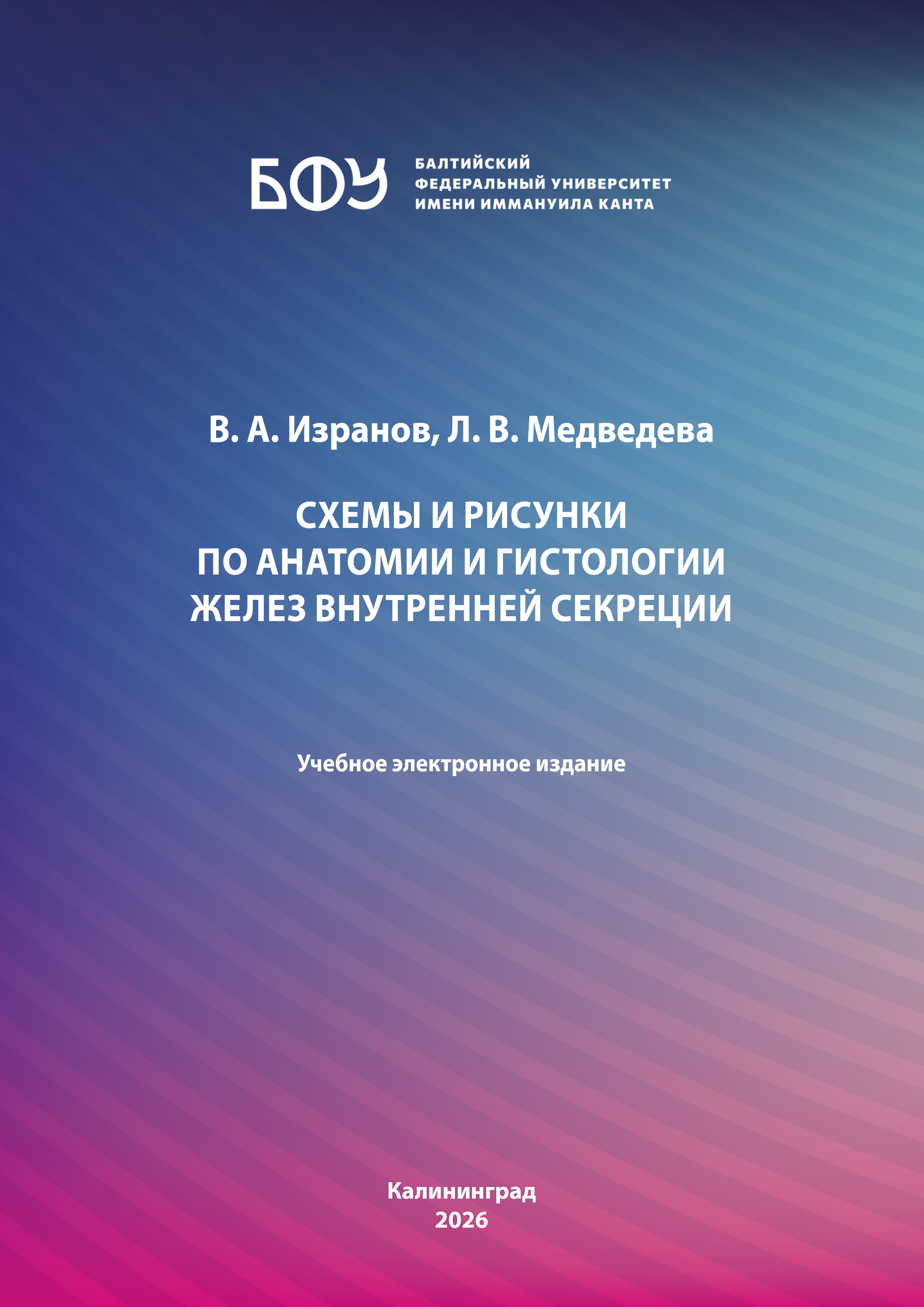 Схемы и рисунки по анатомии и гистологии желез внутренней секреции